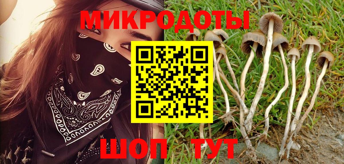 Лянтор  Галлюциногенные грибы мицелий  Вход с VPN 
